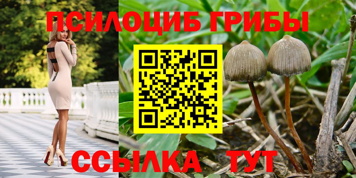 Псилоцибиновые грибы Cubensis  Псилоцибиновые грибы прущие грибы  Стрежевой  Вход с VPN 