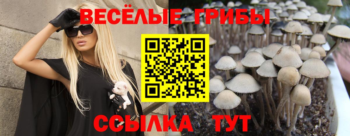 Псилоцибиновые грибы Magic Shrooms Стрежевой